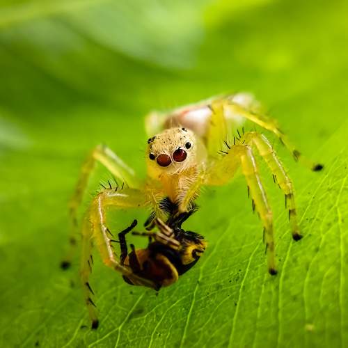 Photo #7569201