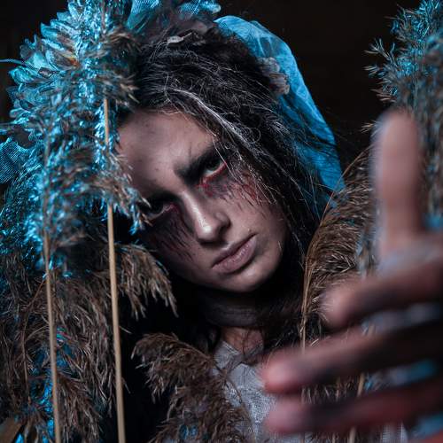 Photo #7569472