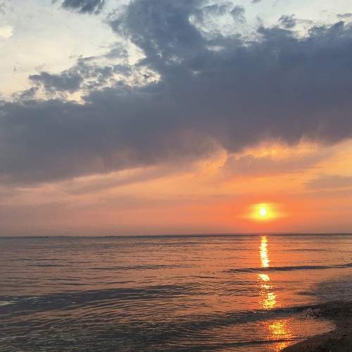 Photo #7570094