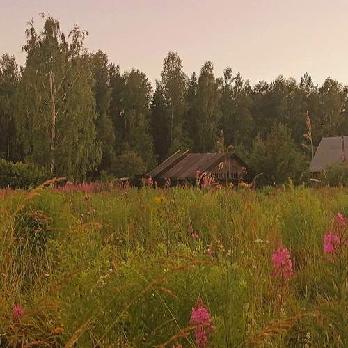 Photo #7570096