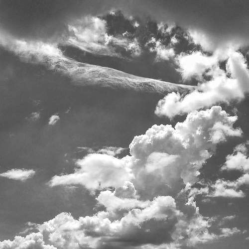Photo #7570171