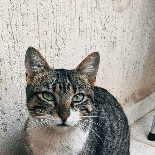 Photo #7570389