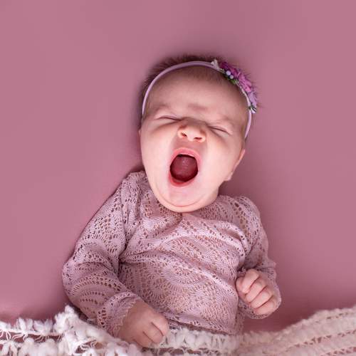 Photo #7570485