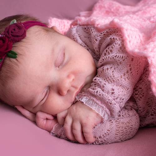 Photo #7570493
