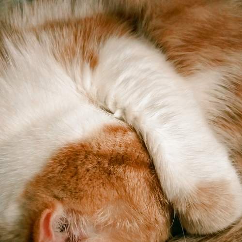 Photo #7570795