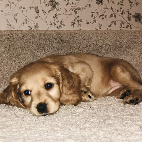 Photo #7570812