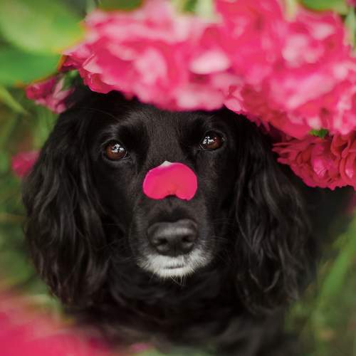 Photo #7570840