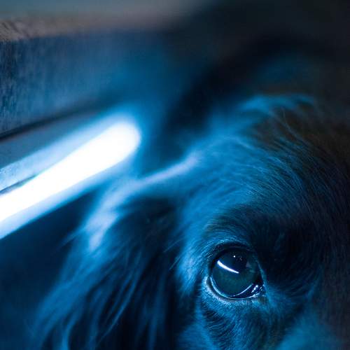 Photo #7570841