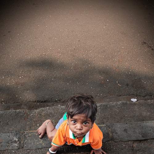 Photo #7570880