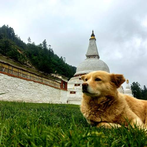 Photo #7570893