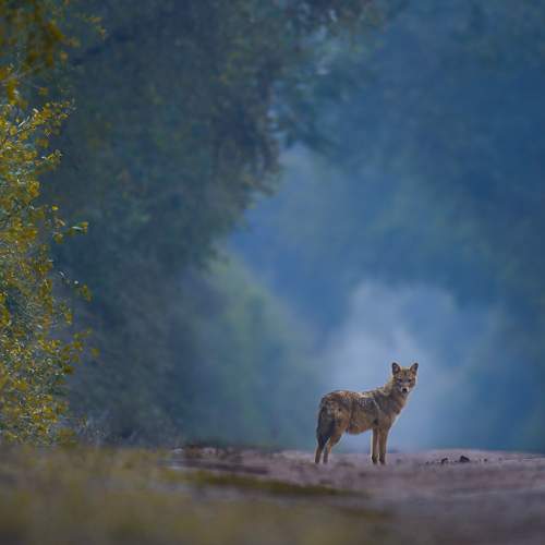 Photo #7570902