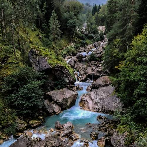 Photo #7570955