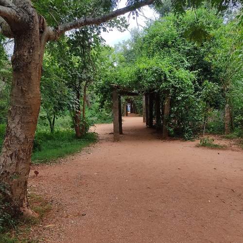 Photo #7571046
