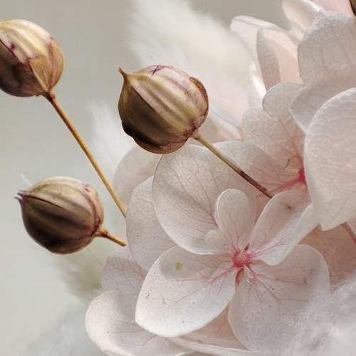 Photo #7571051