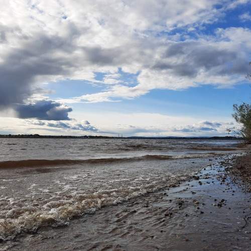 Photo #7571190