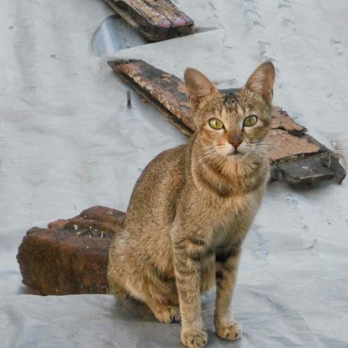 Photo #7571276