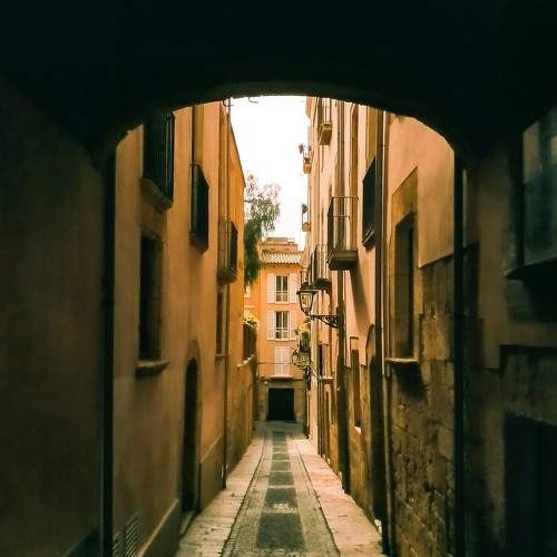 Photo #7571454