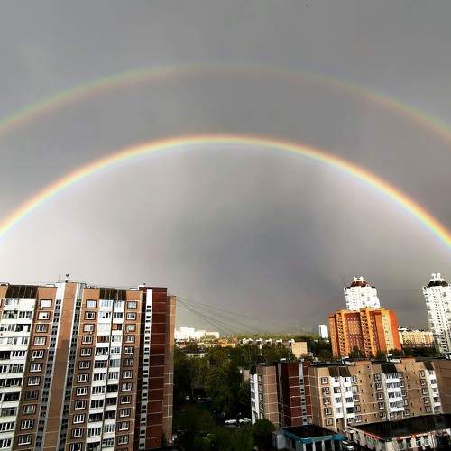 Photo #7571528