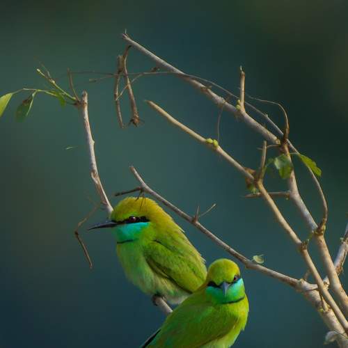 Photo #7571544