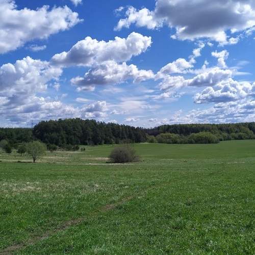 Photo #7571865