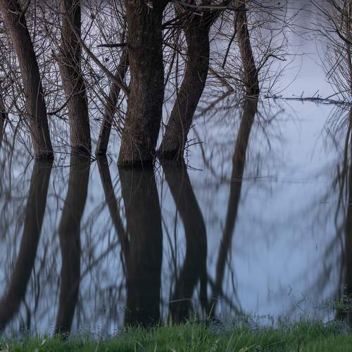 Photo #7572005