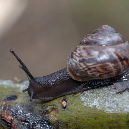 Photo #7572033