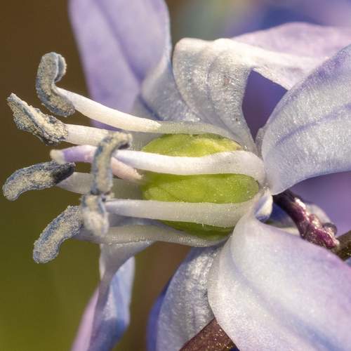 Photo #7572038