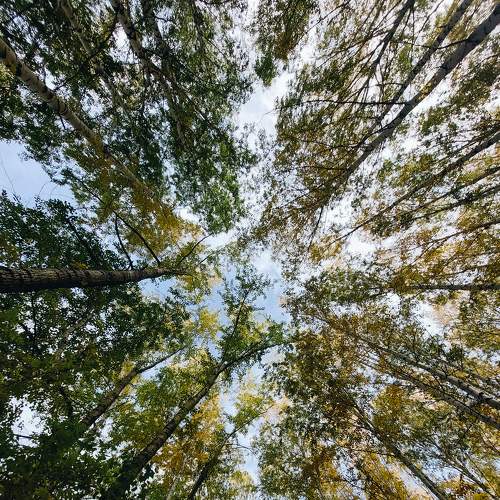 Photo #7572425