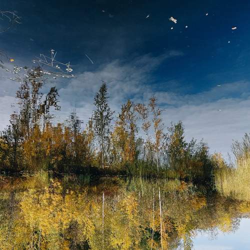 Photo #7572426