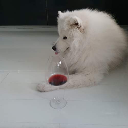 Photo #7572440