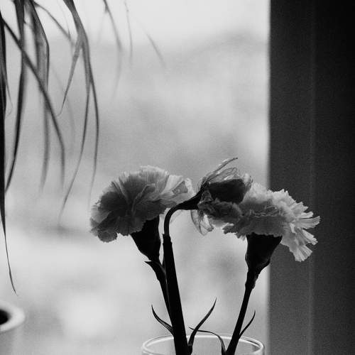 Photo #7572460