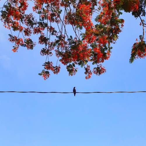 Photo #7572475