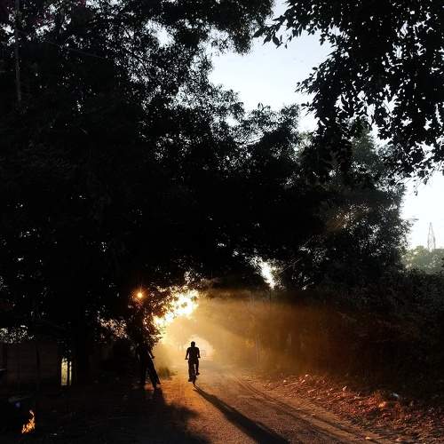 Photo #7572603
