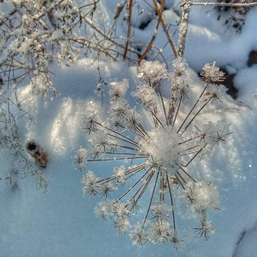 Photo #7572627