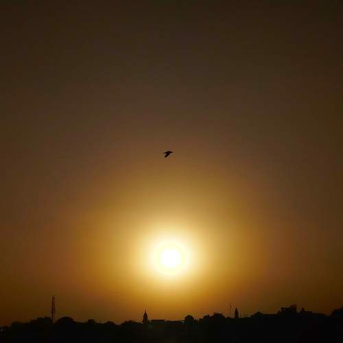 Photo #7572670