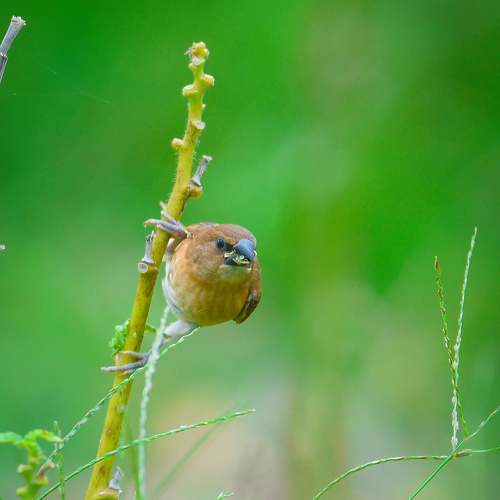 Photo #7572718