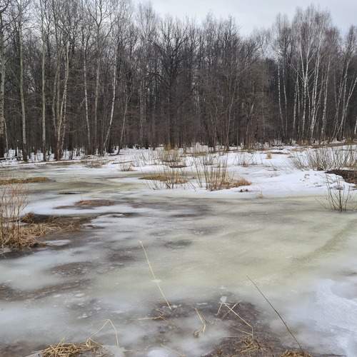 Photo #7572749