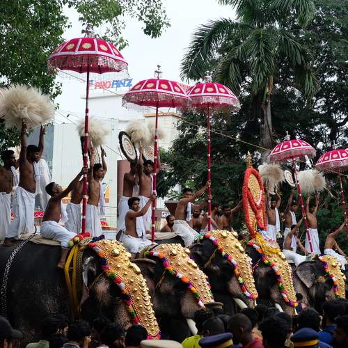 Photo #7572774