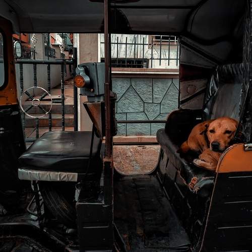 Photo #7572964