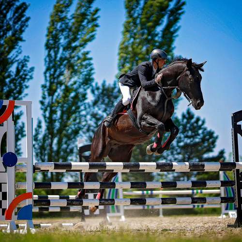 Photo #7573387