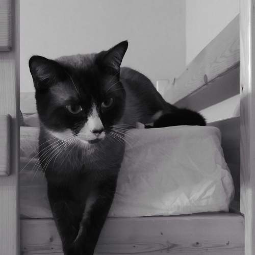 Photo #7573436