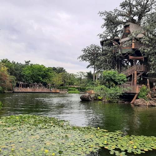 Photo #7573891