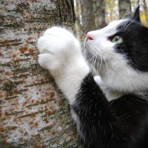 Photo #7574333