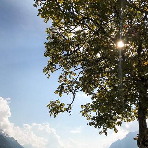 Photo #7574518