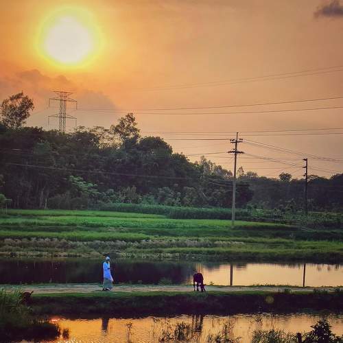 Beauty of sun