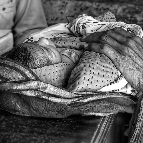 Photo #7574661