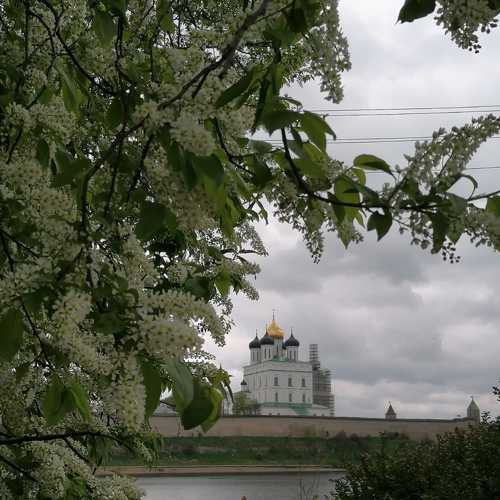 Photo #7574692