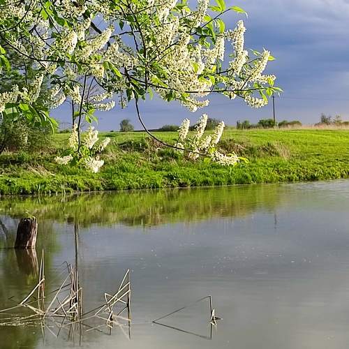 Photo #7574804