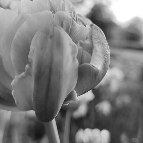 Photo #7574812