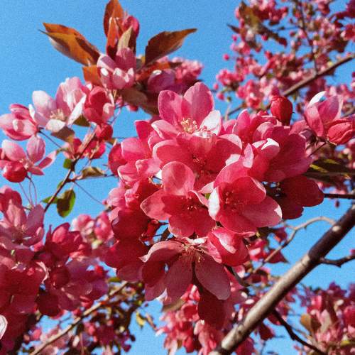 Photo #7575234